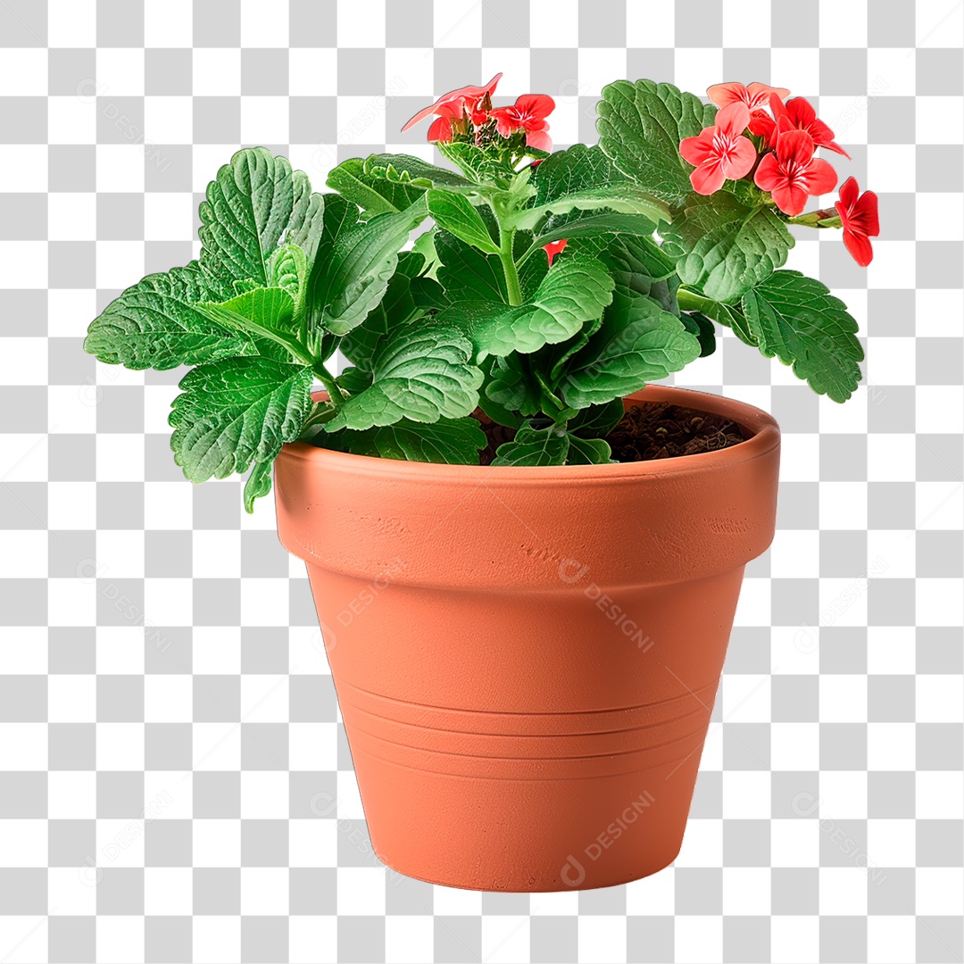 Vazo de Flores PNG Transparente