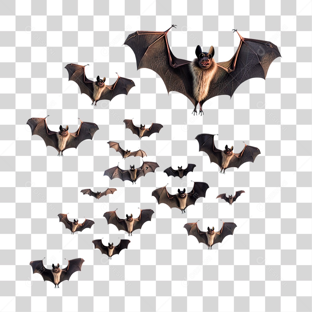 Morcego PNG Transparente