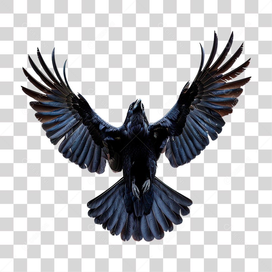 Corvo PNG Transparente