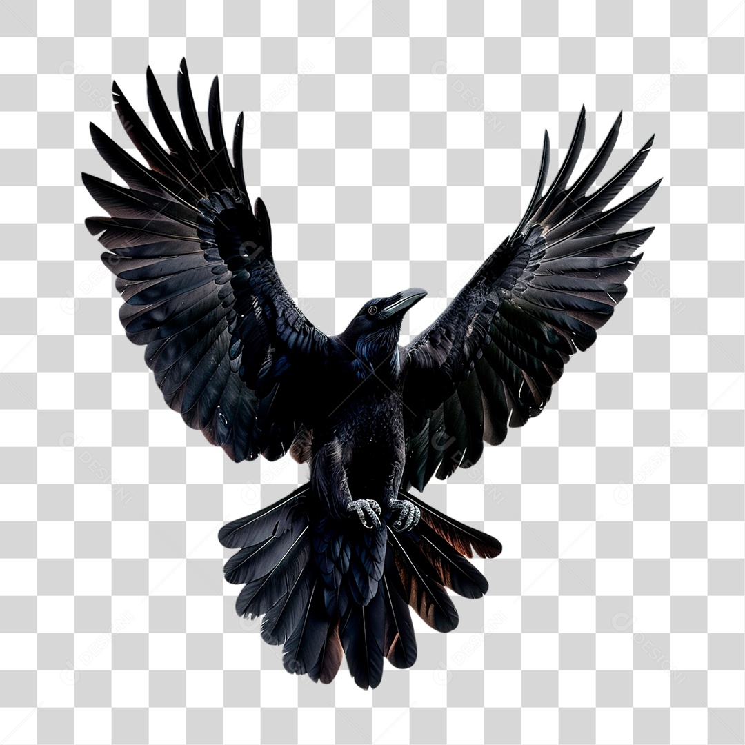 Corvo PNG Transparente