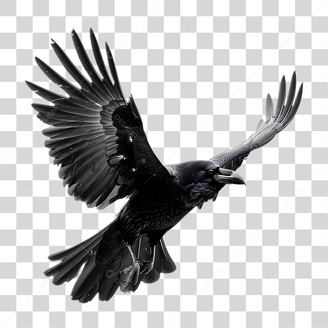 Corvo PNG Transparente