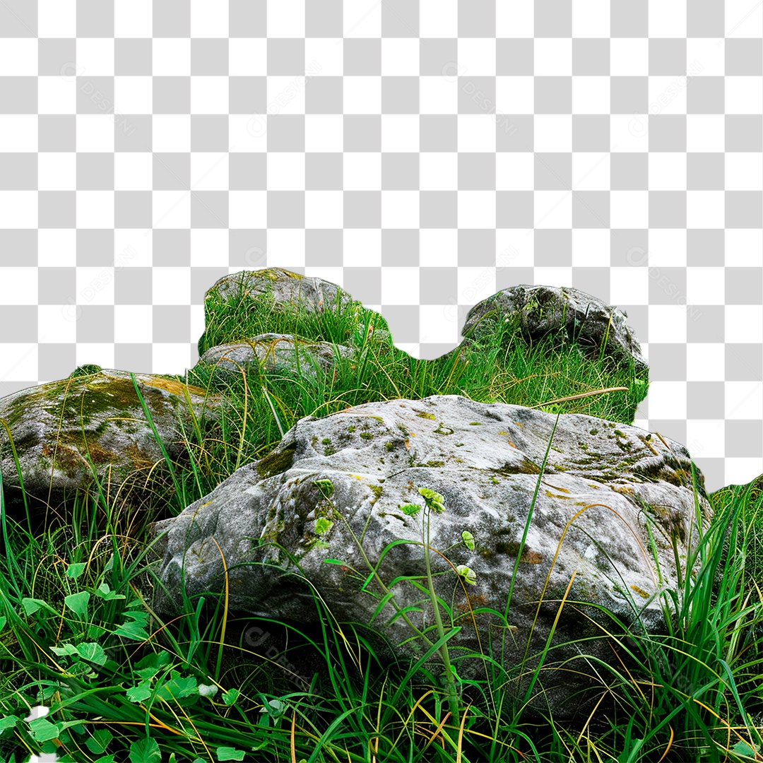 Grama Rocha PNG Transparente