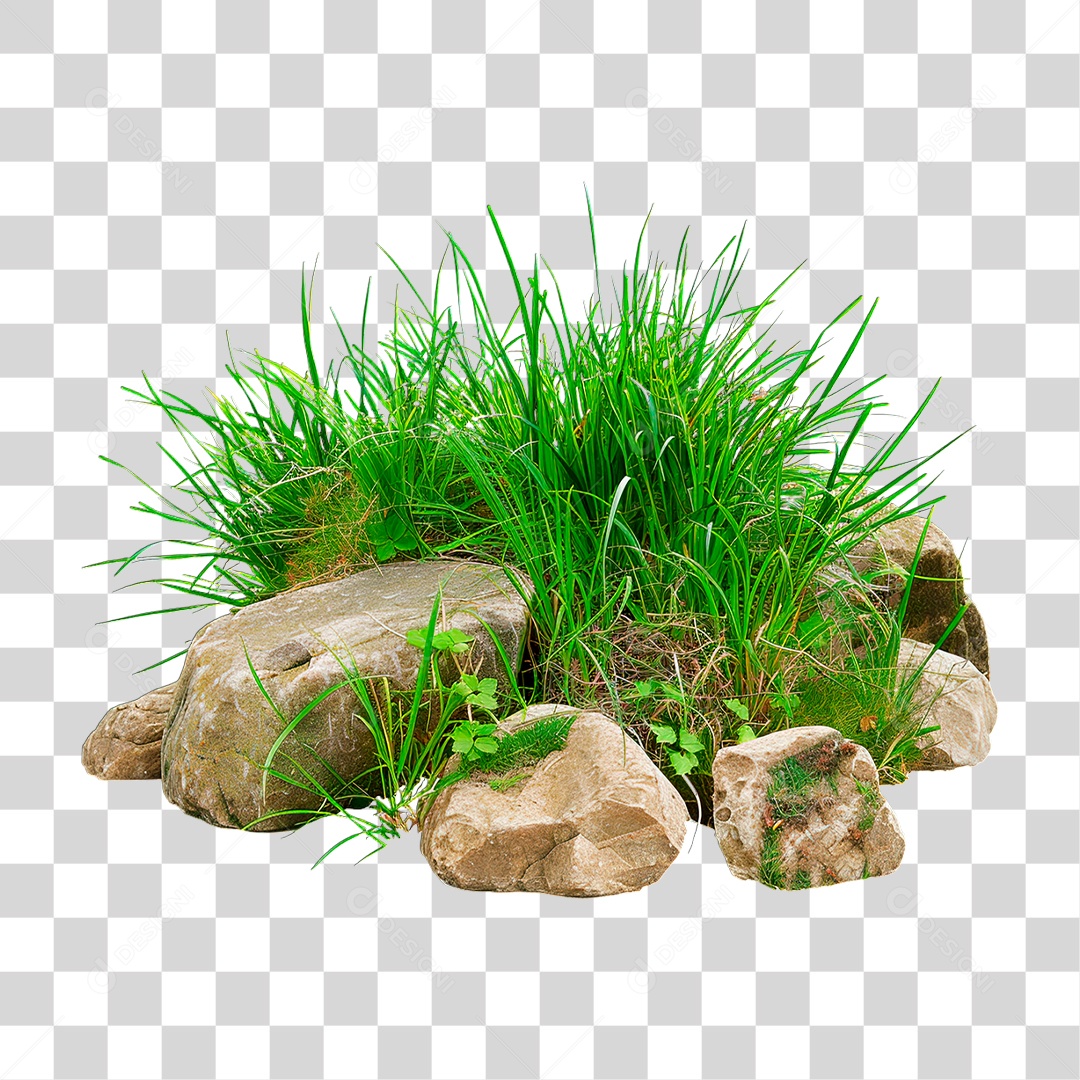 Grama Rocha PNG Transparente