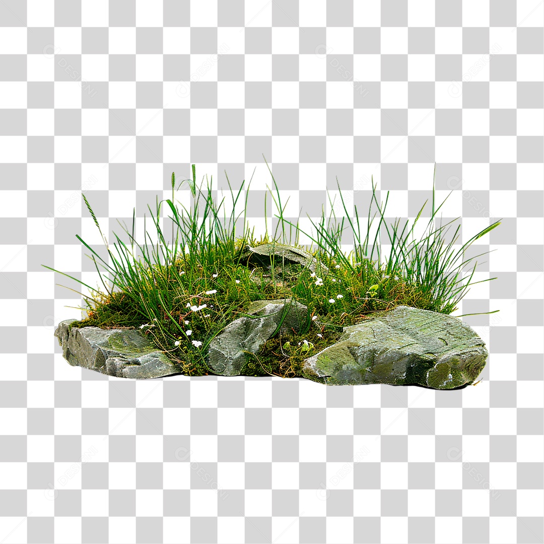 Grama Rocha PNG Transparente