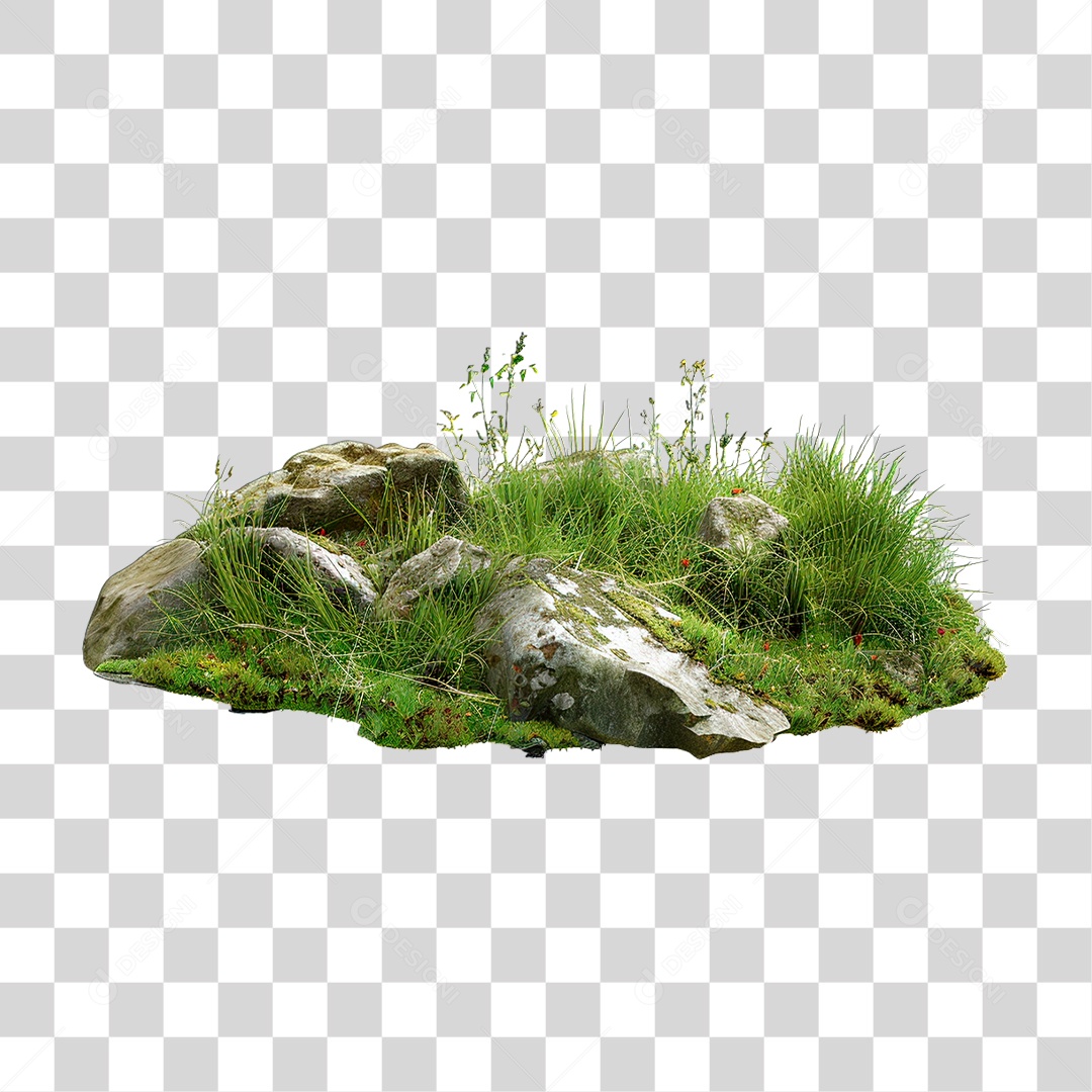 Grama Rocha PNG Transparente