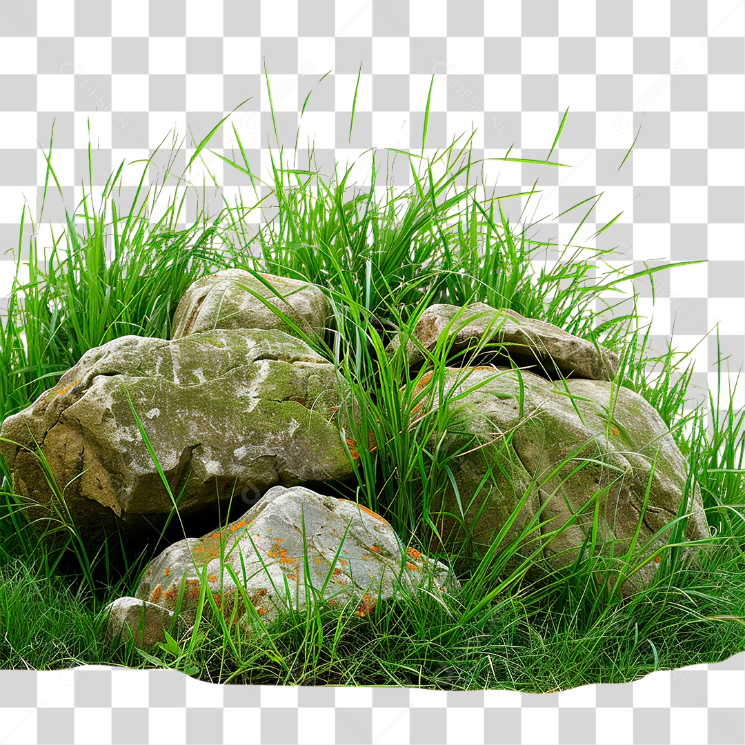 Grama Rocha PNG Transparente