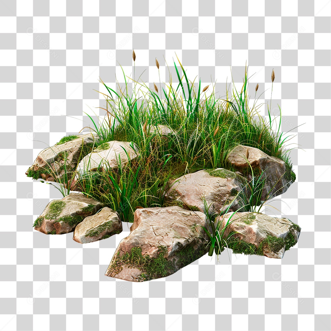 Grama Rocha PNG Transparente