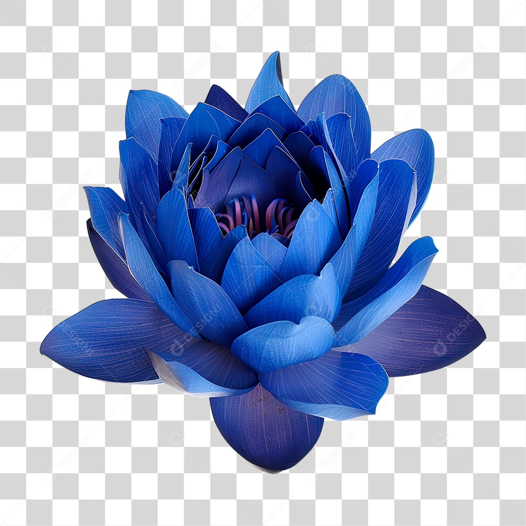 Flor Azul PNG Transparente