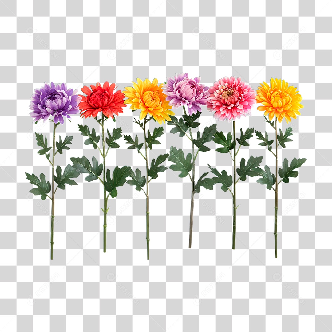 Flores Coloridas PNG Transparente