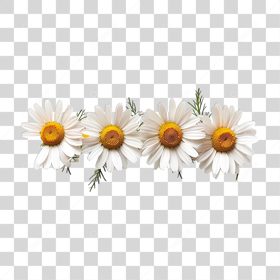 Flores PNG Transparente