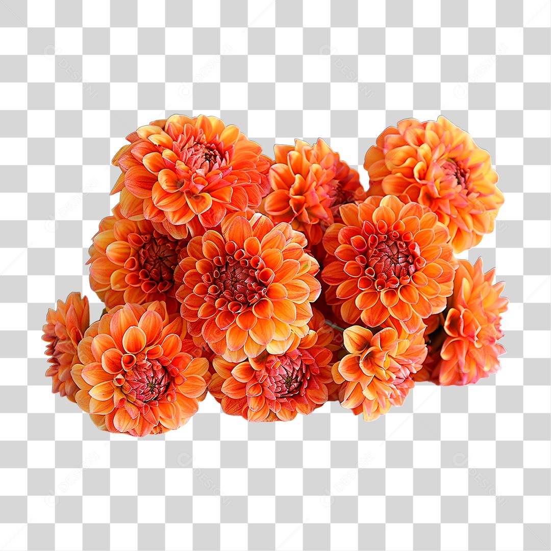 Flor Laranja PNG Transparente