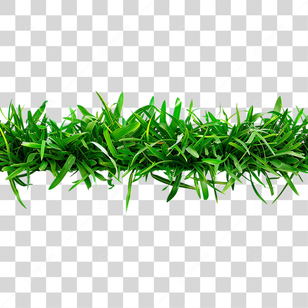 Capim Verde PNG Transparente