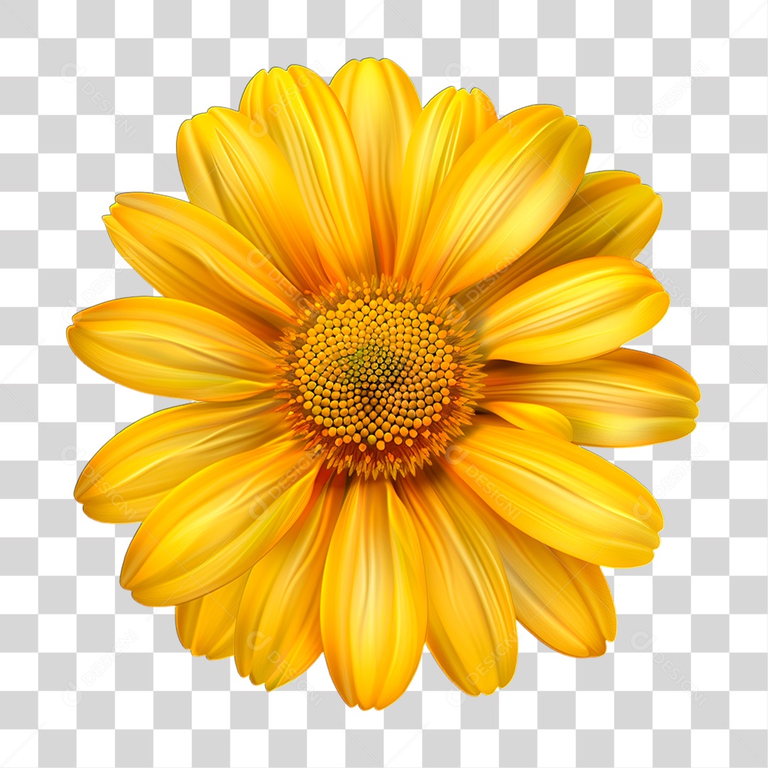 Flor Amarela PNG Transparente