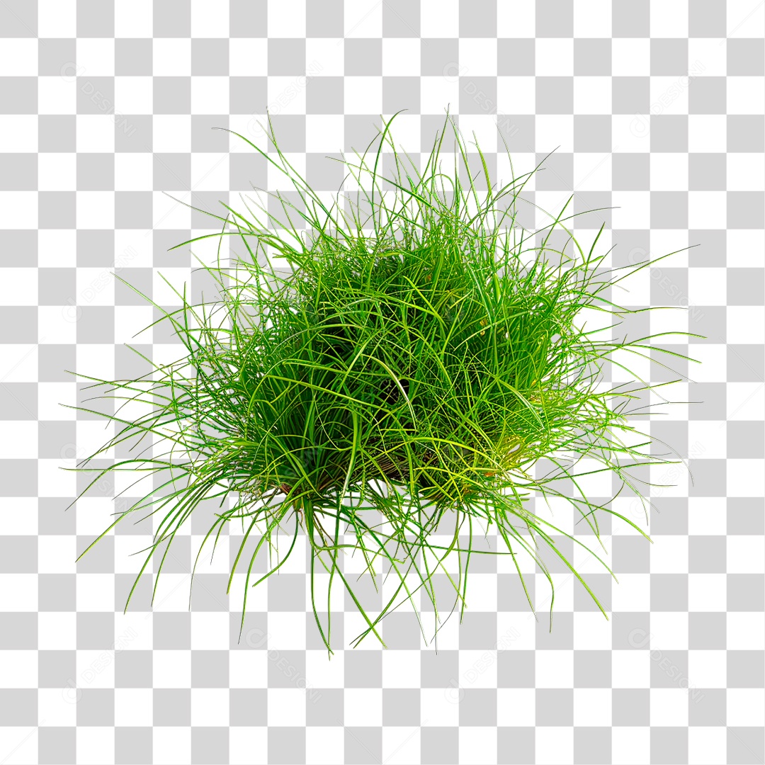 Grama Verde PNG Transparente