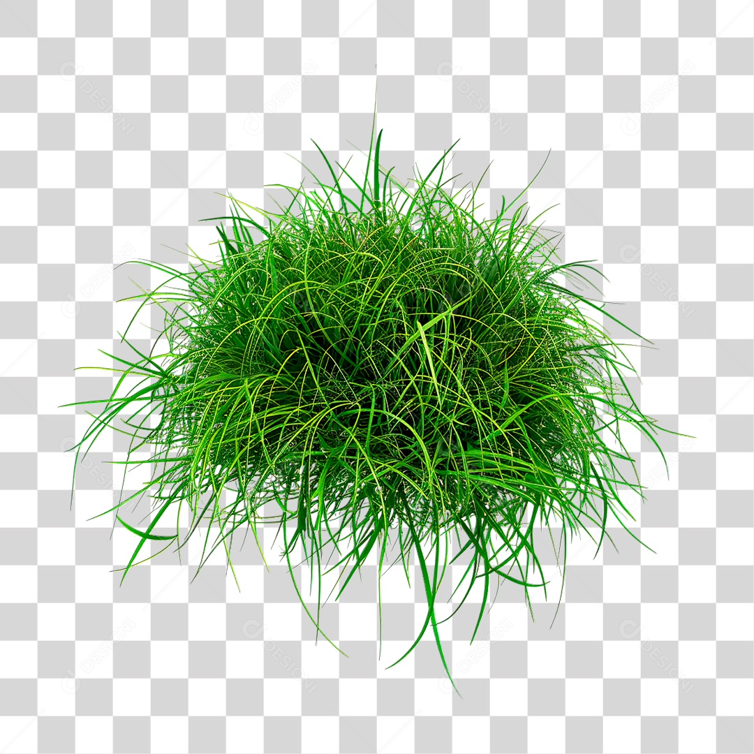 Grama Verde PNG Transparente