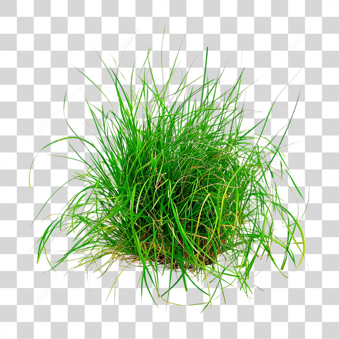 Grama Verde PNG Transparente