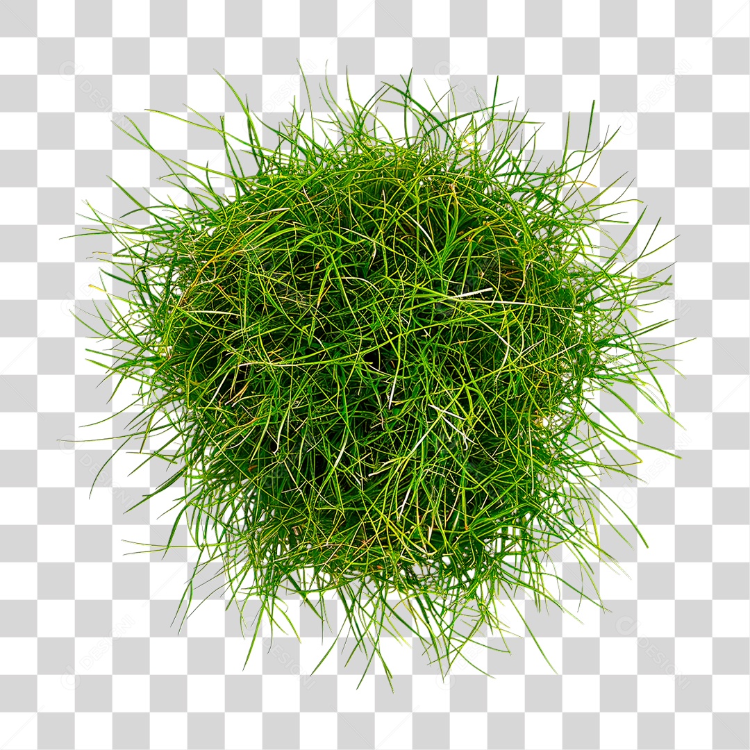 Grama Verde PNG Transparente