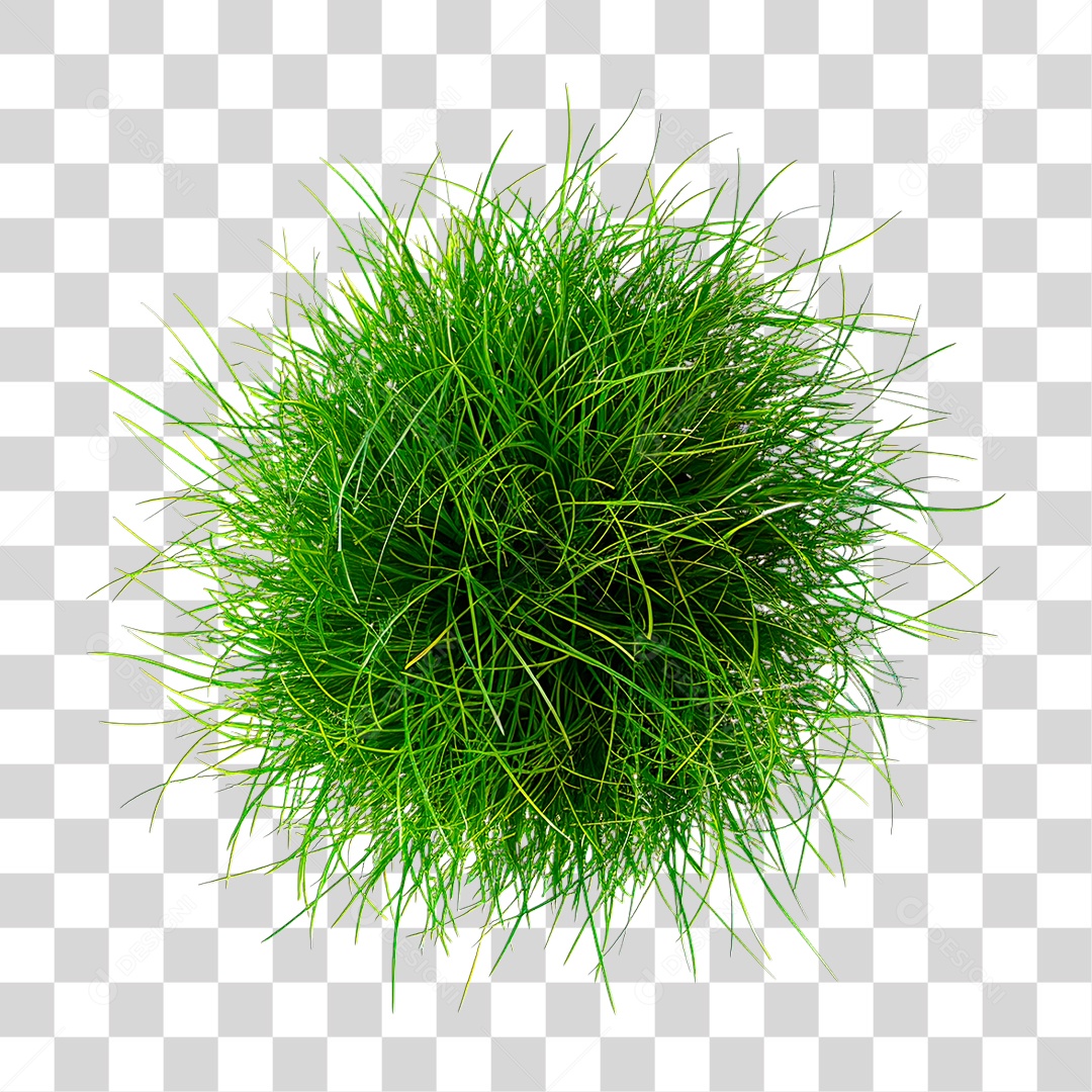Grama Verde PNG Transparente
