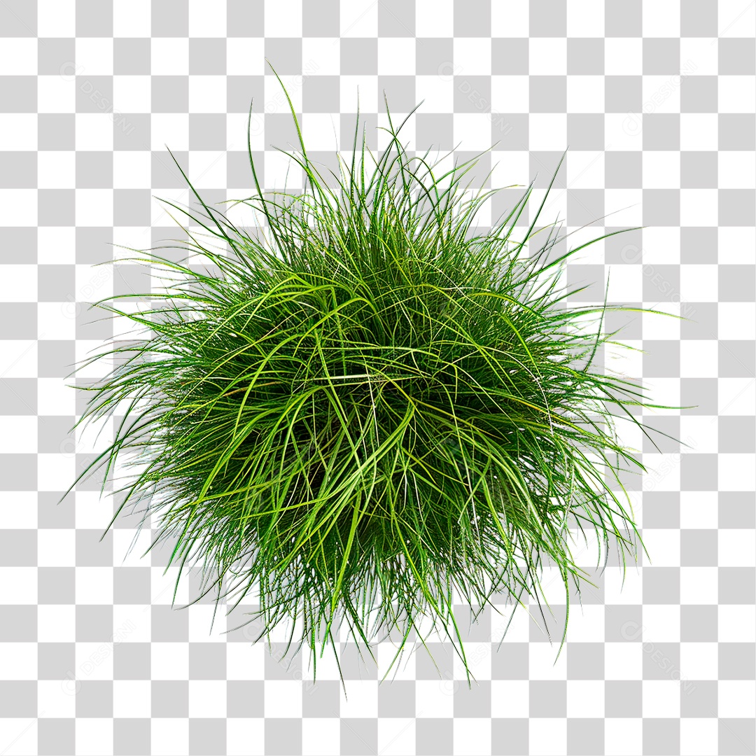 Grama Verde PNG Transparente