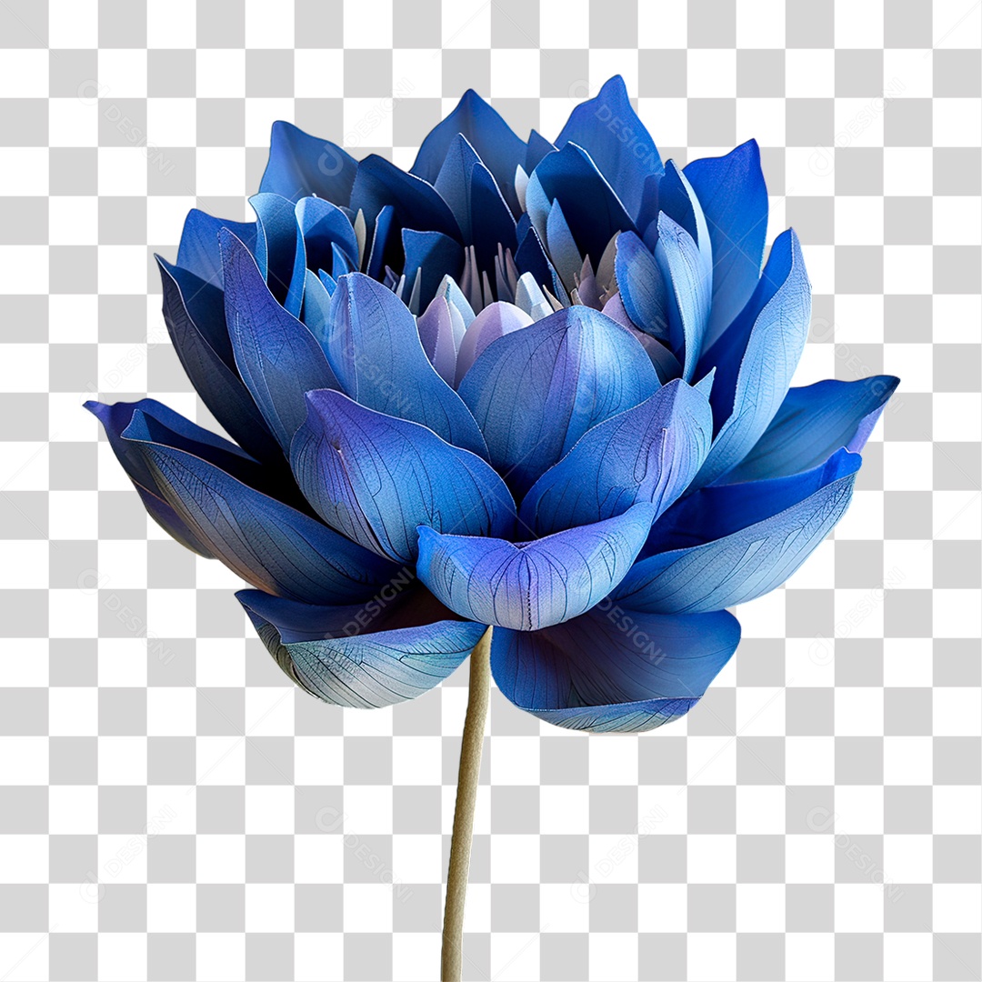 Flor Azul PNG Transparente