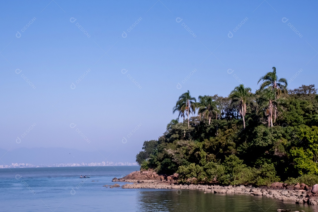 Ilha com árvores nativas e mar azul bela natureza
