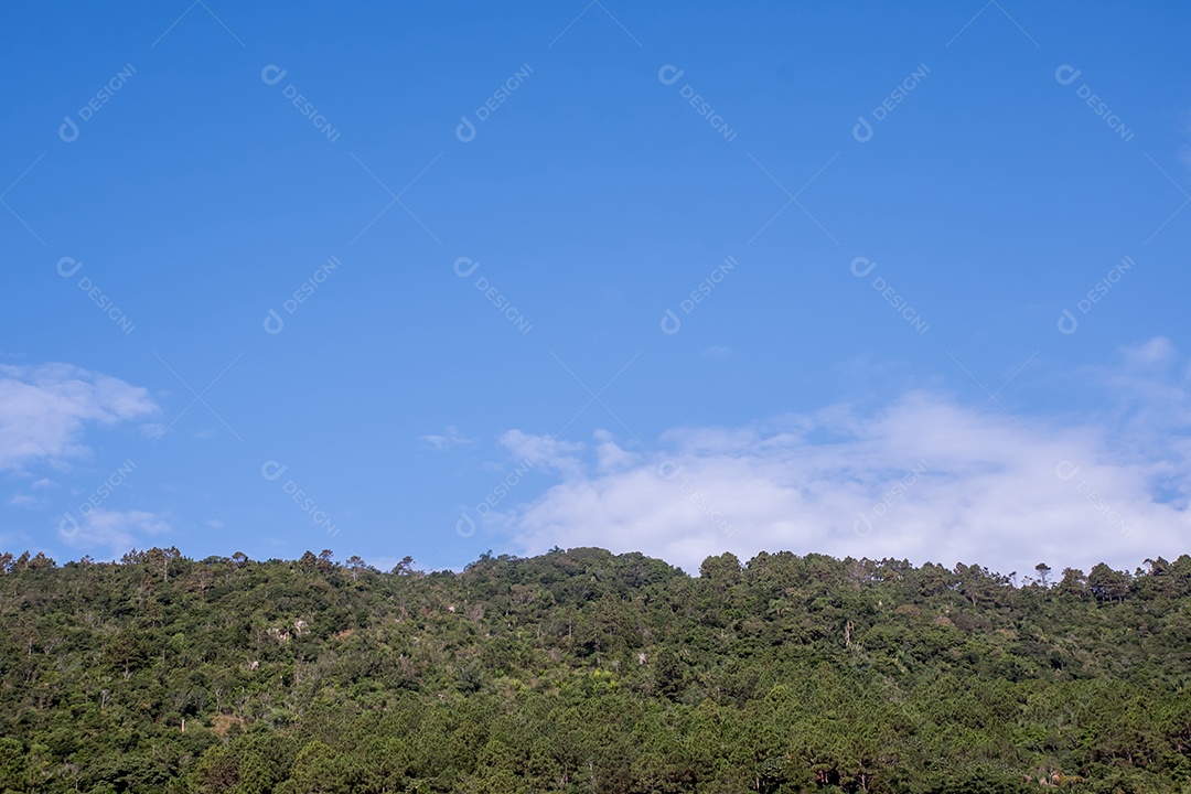 Natureza intocada mata atlântica e céu azul