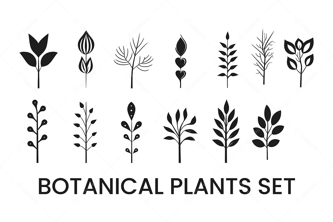 Conjunto de Plantas Botânicas PNG + AI Editável