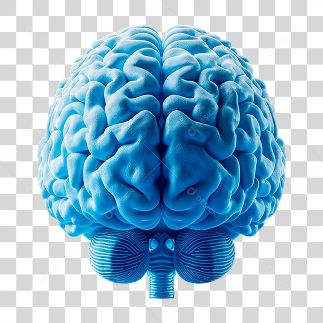 Elemento 3D Cérebro PNG Transparente