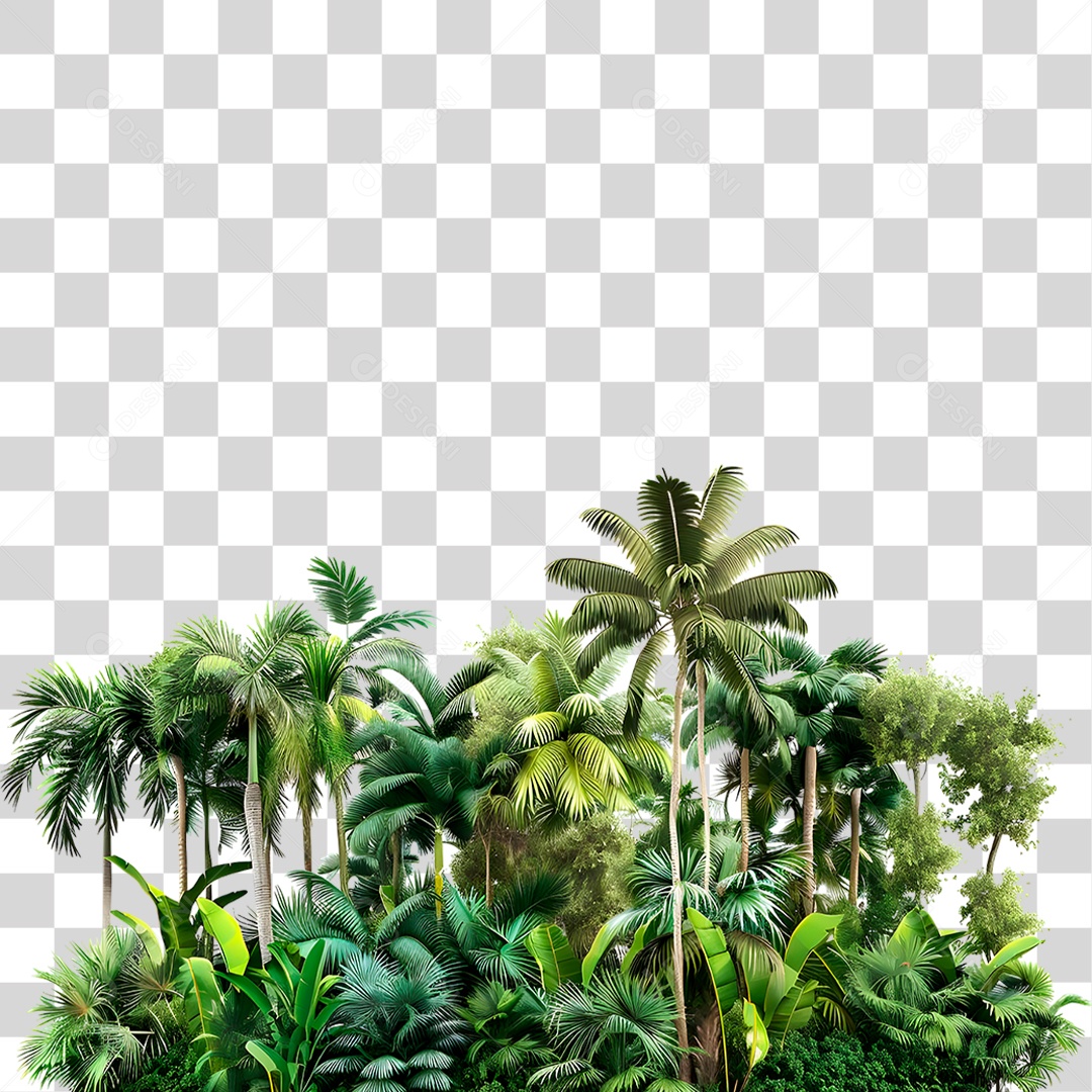 Palmeiras PNG Transparente