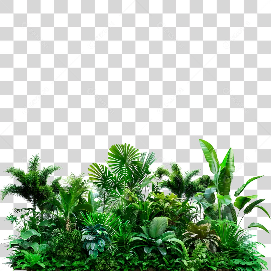 Selva PNG Transparente