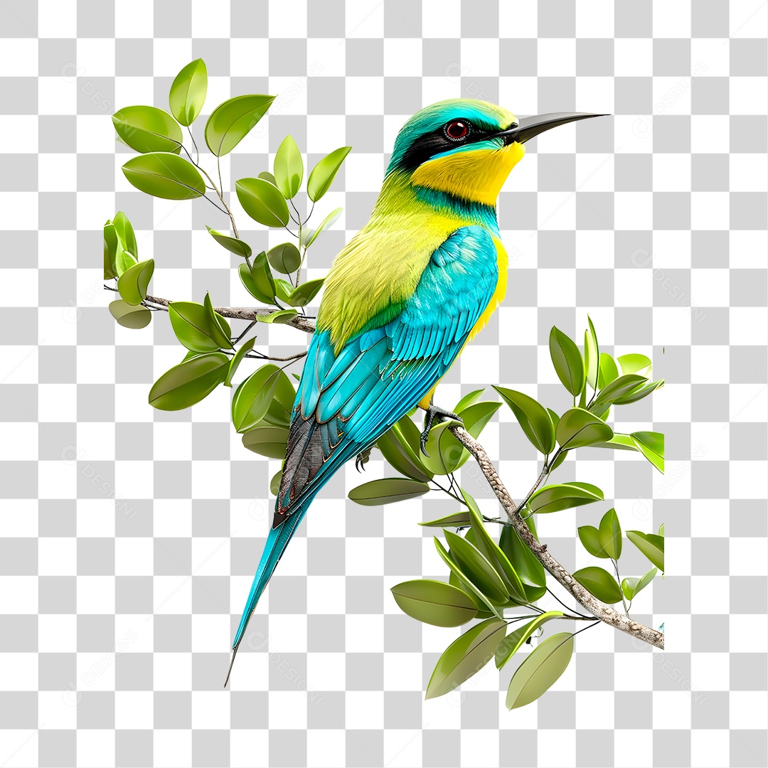 Pássaro PNG Transparente