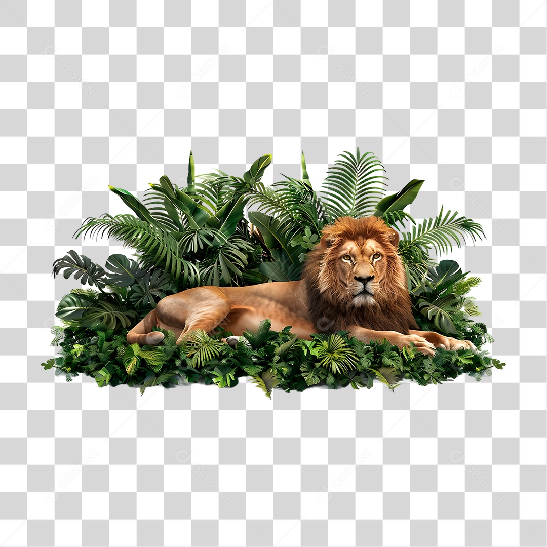 Animal Leão PNG Transparente