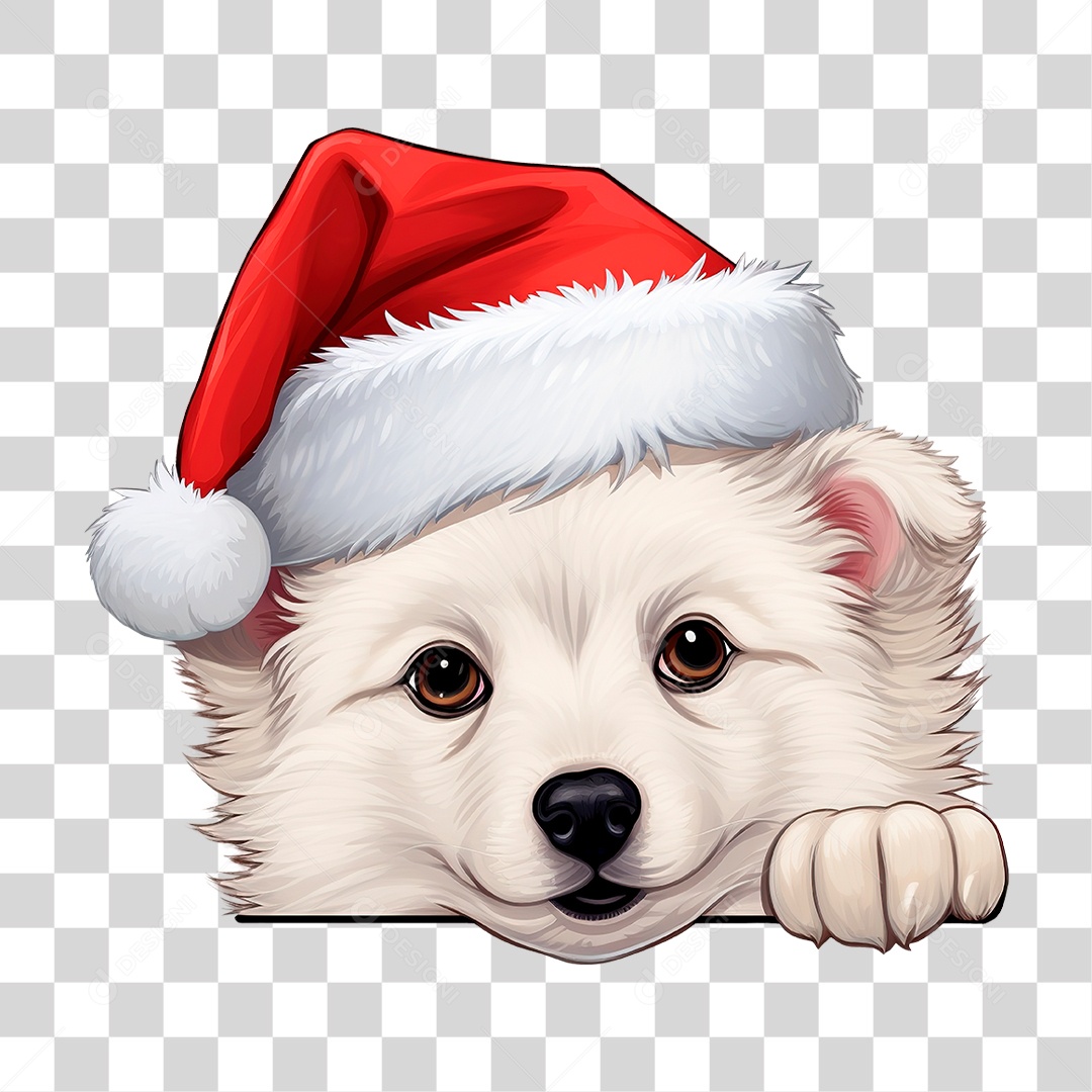 Cachorro com Gorro PNG Transparente