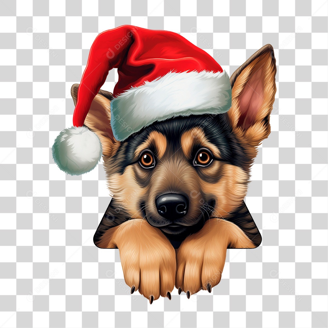 Animal Domestico PNG Transparente