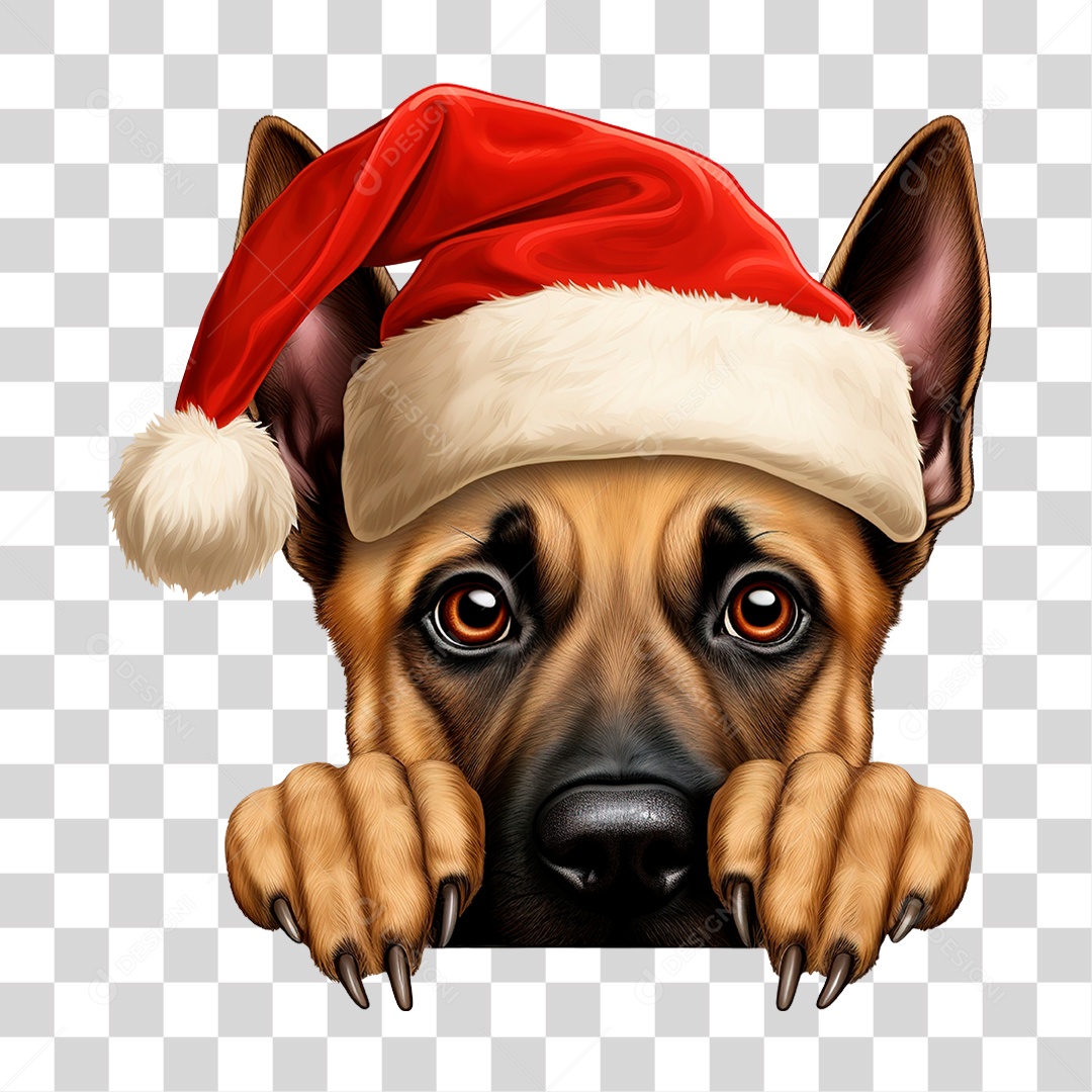 Animal Domestico PNG Transparente