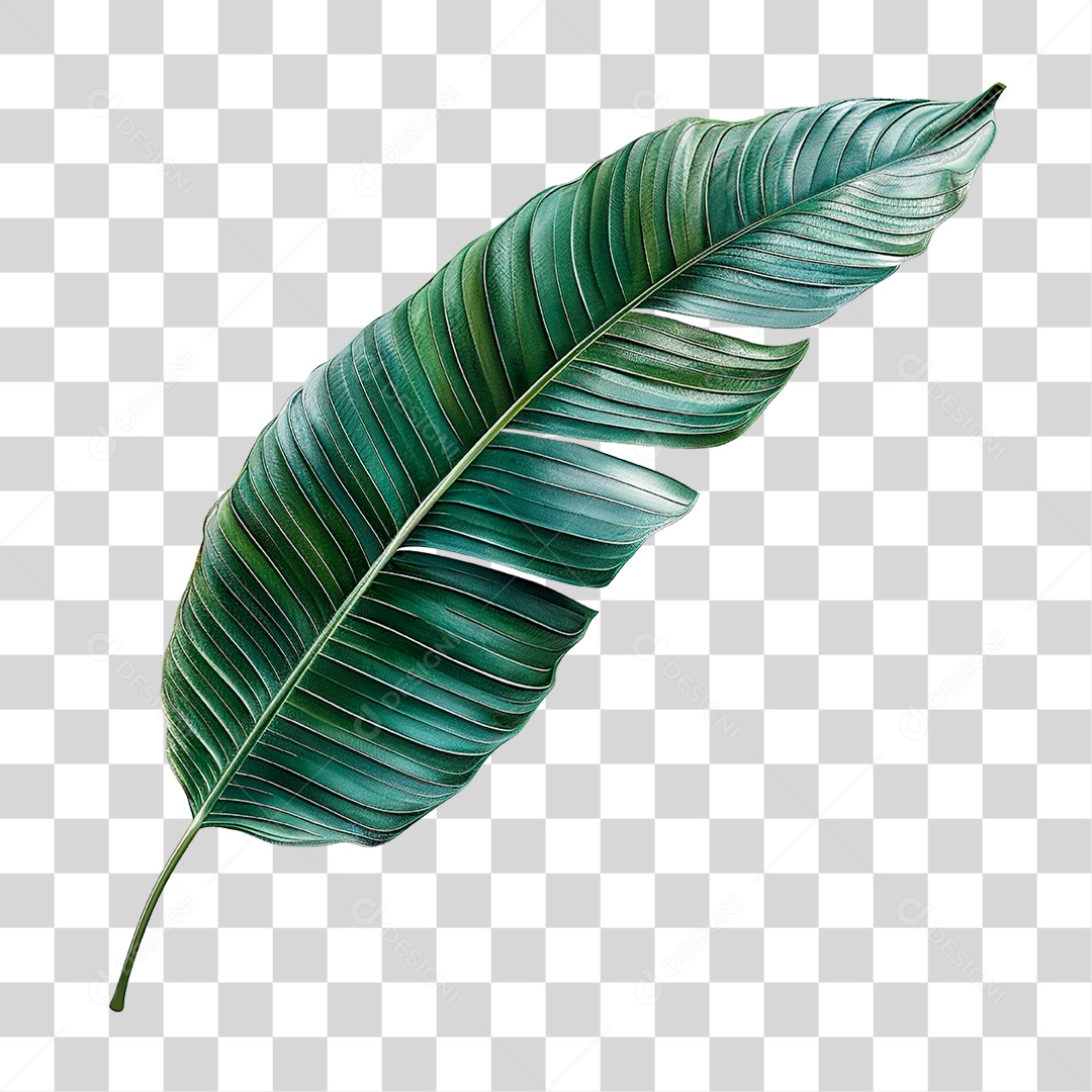 Folha de Banana PNG Transparente