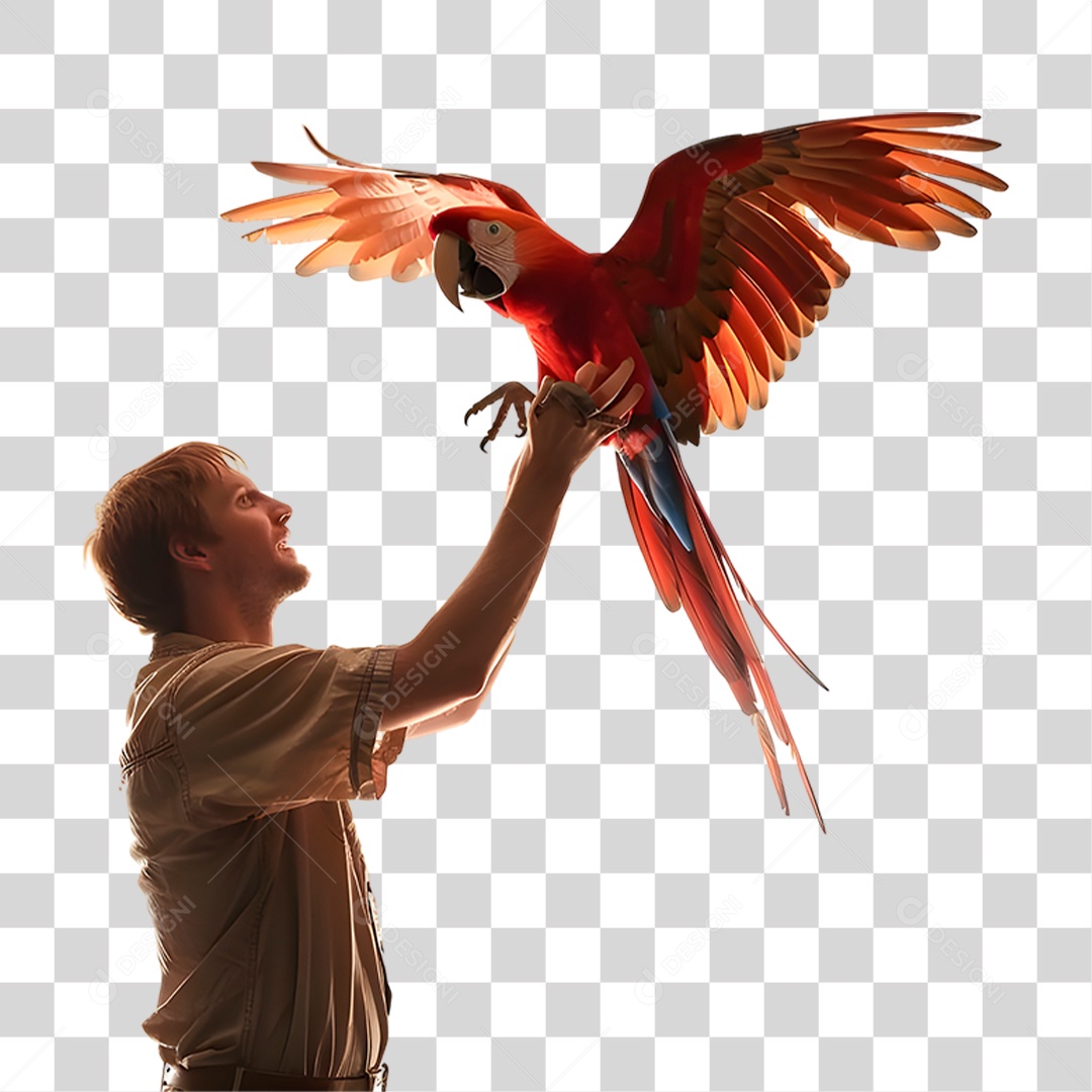 Homem Segurando Arara Vermelha PNG Transparente