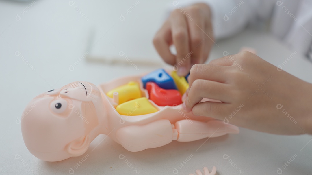 Menina asiática brincando com bonecos anatômicos em um jogo de médico