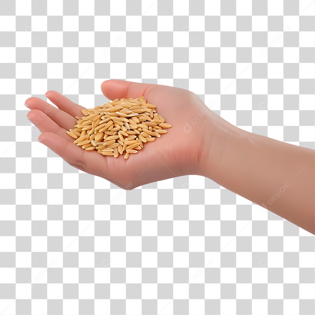 Mão Segurando Trigo PNG Transparente