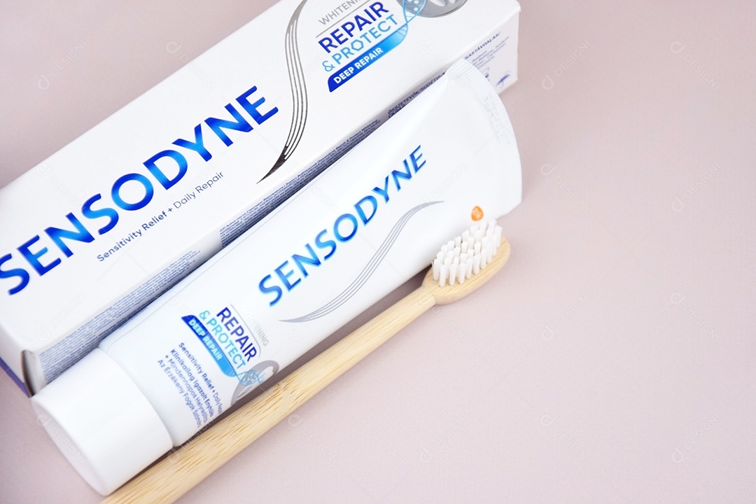 Caixa de pasta de dente e escovas de bambu