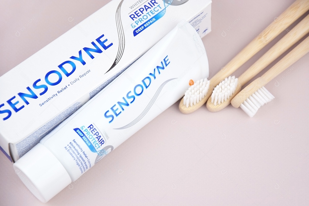 Caixa de pasta de dente e escovas de bambu