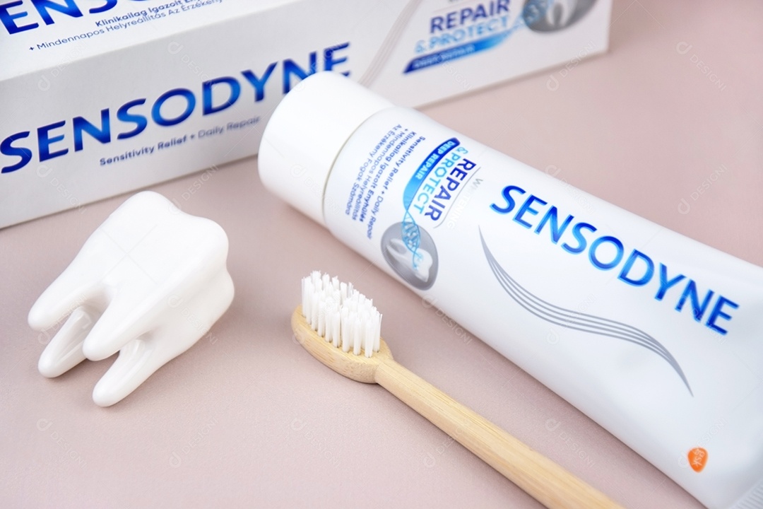 Escova de dente e pasta para higiene