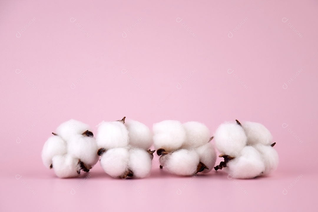 Bolas de algodão natural