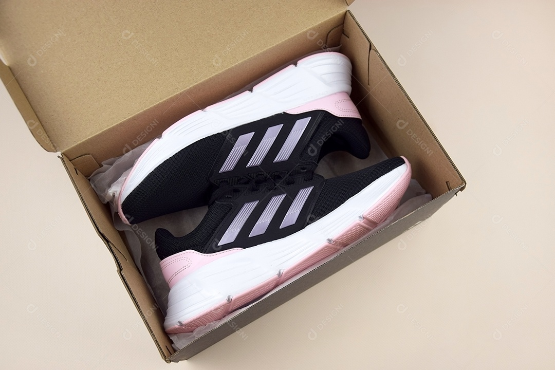 Par de tênis femininos lindo em fundo de caixa