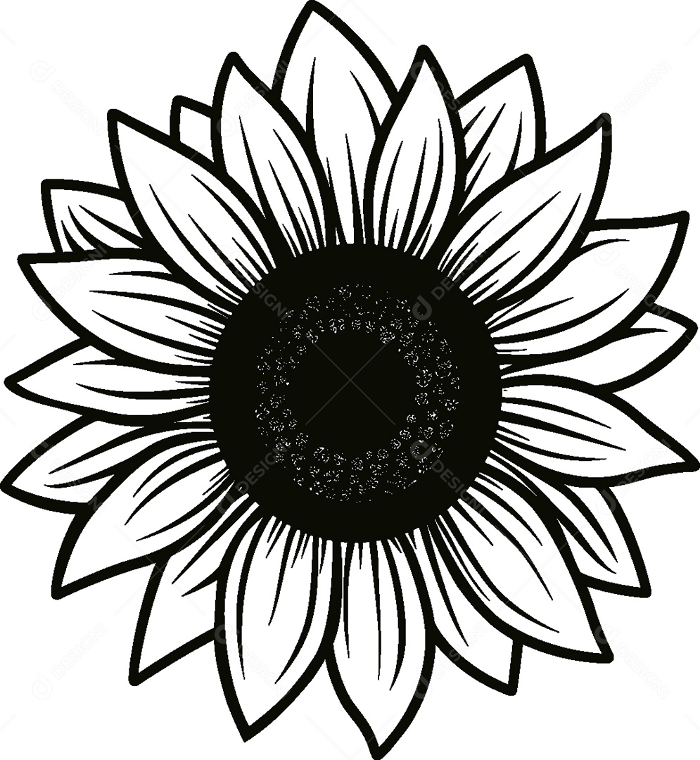 Desenho de um Girassol Vetor EPS