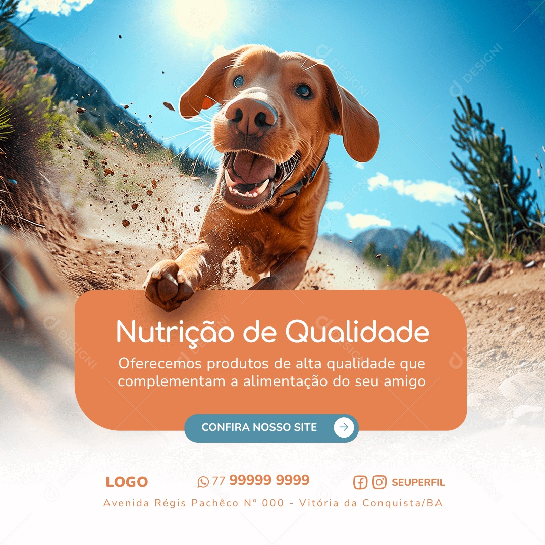 Nutrição de Qualidade Social Media PSD Editável