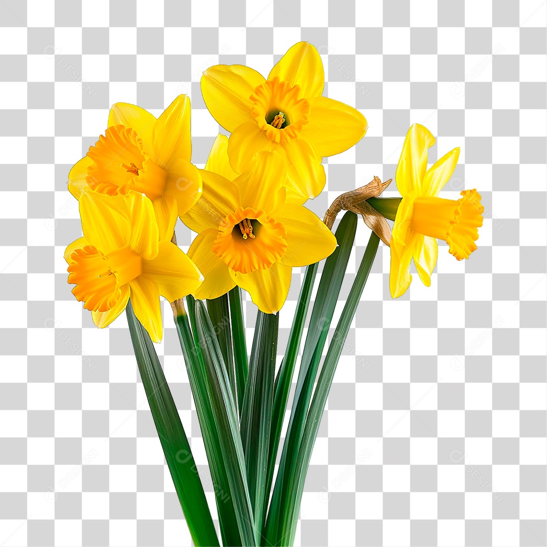 Elemento 3D Buquê De Flores Amarelas PNG Transparente