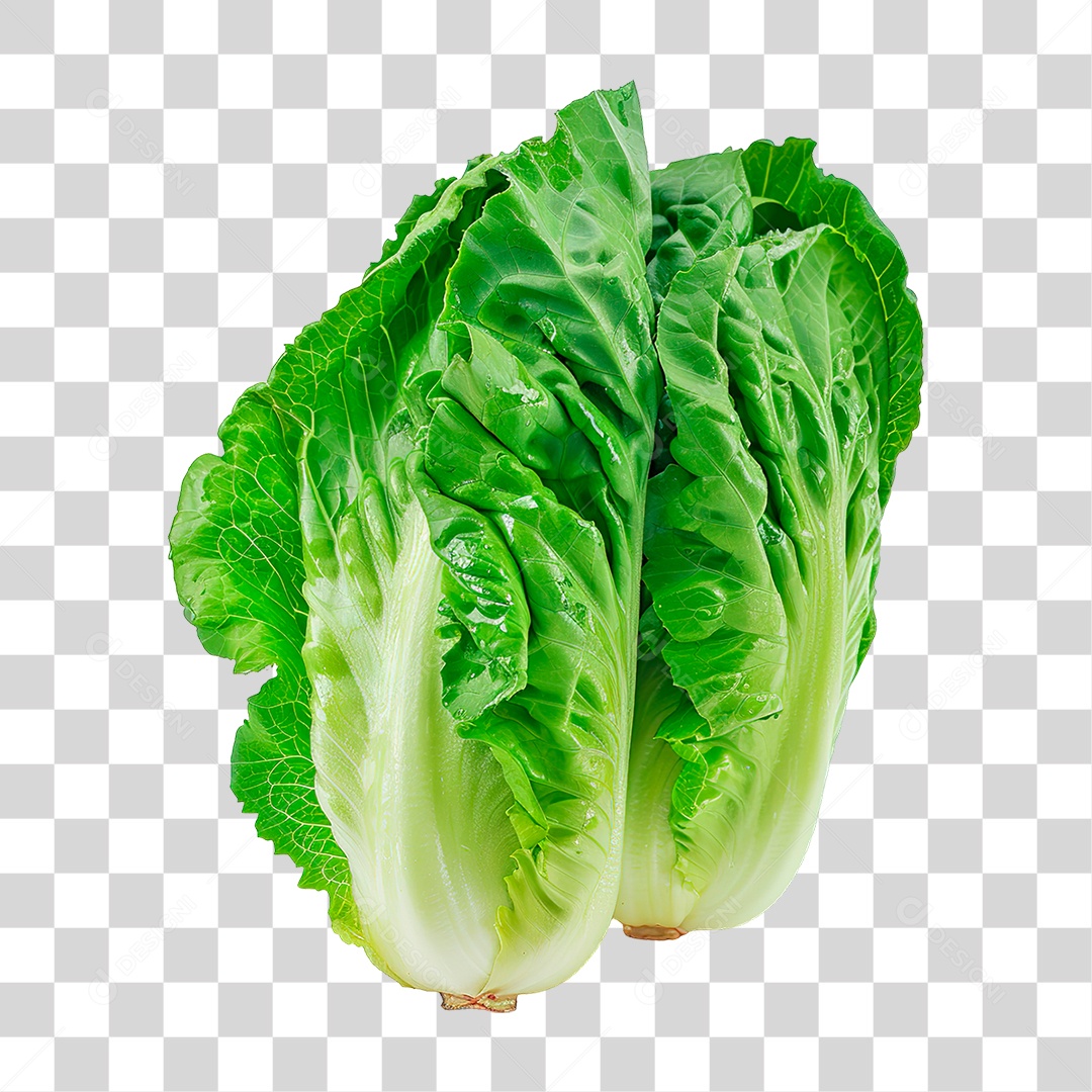 Elemento 3D Alface PNG Transparente