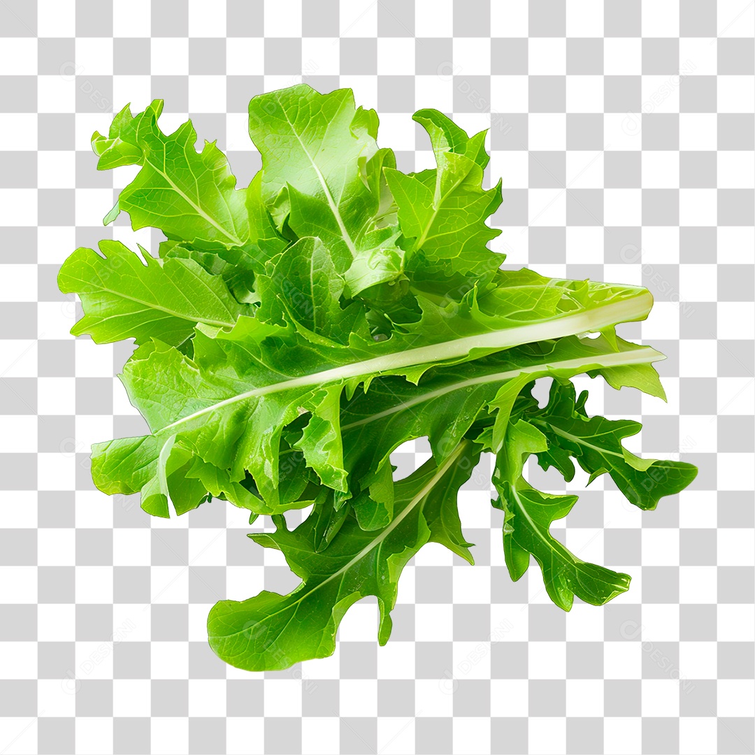 Elemento 3D Alface PNG Transparente