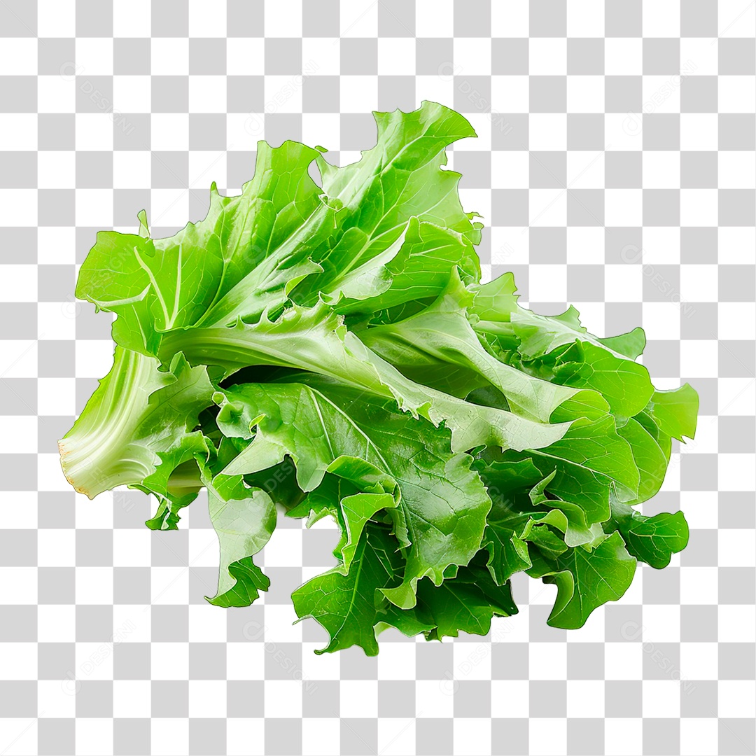 Elemento 3D Alface PNG Transparente